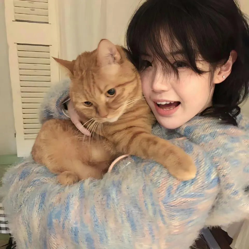 大小姐的合租高手