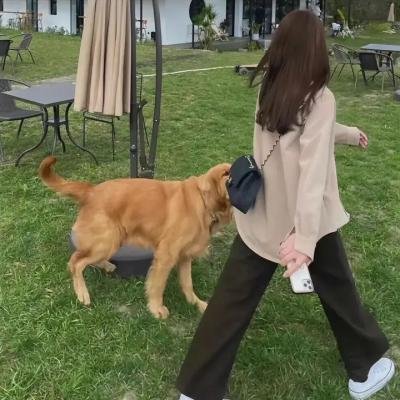 拽妹黛薇儿第二季